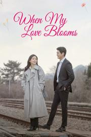 When My Love Blooms ซับไทย