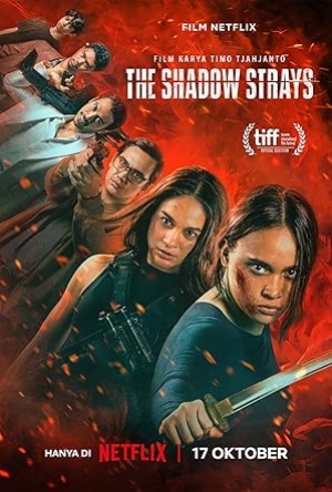 The Shadow Strays (2024) นักฆ่าเงาล่าทรชน (พากย์ไทย)